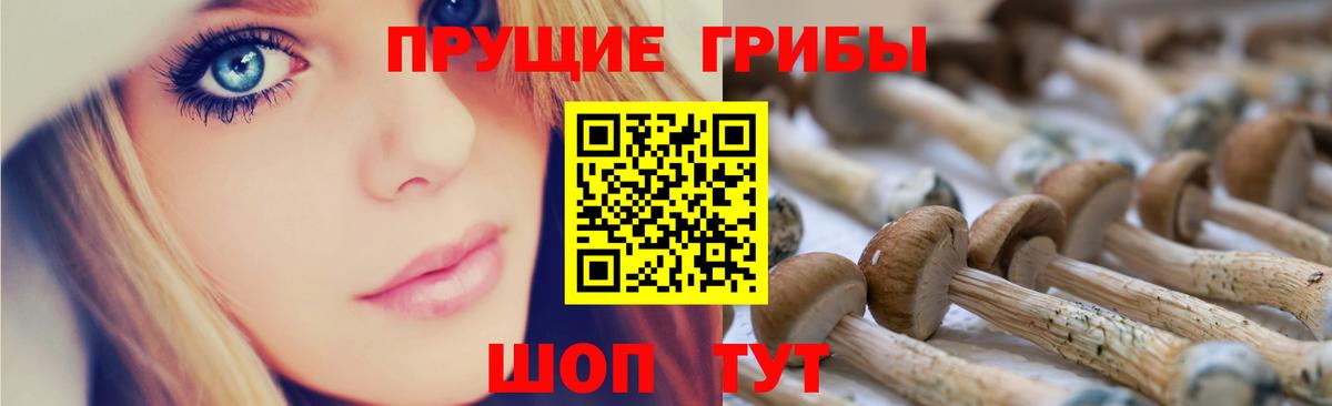 купить закладку  Вход с VPN  Хабаровск  Галлюциногенные грибы GOLDEN TEACHER 